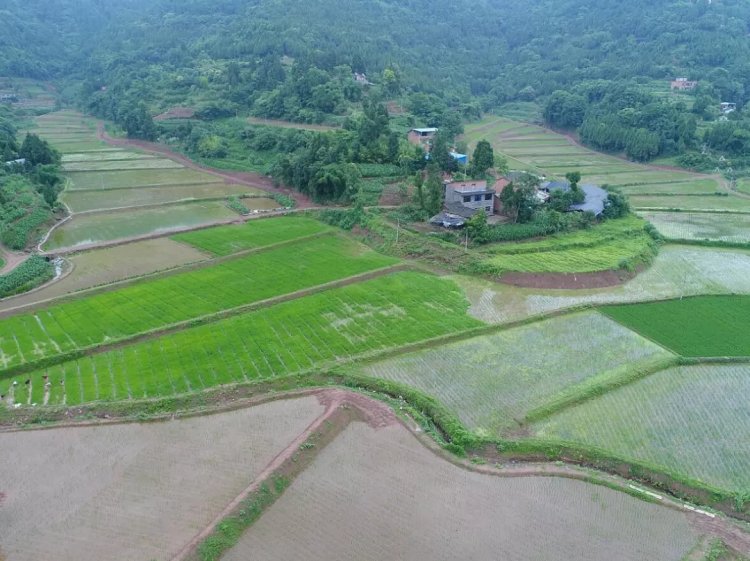 聂华林丘陵山区也用上了大中型农业机械