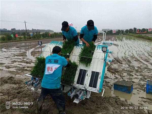 钵体毯苗机插让安徽的用户乐疯了课程视频编辑图片