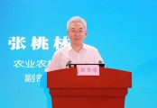 张桃林卸任农业农村部副部长