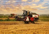如何看待今年小麦收获机市场表现？