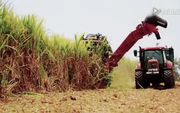 凯斯8000型甘蔗收割机作业视频