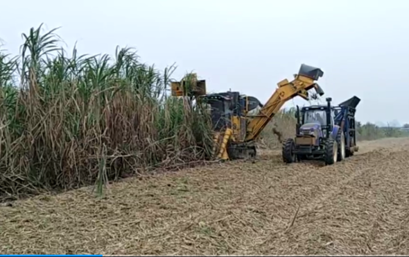 柳工S935T切段式甘蔗收获机现场演示视频
