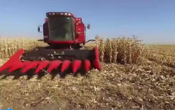 国内玉米割台第**品牌 天人农机视频