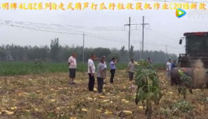 春明牌4LGZ系列自走式葫芦打瓜籽粒收获机作业-作业视频