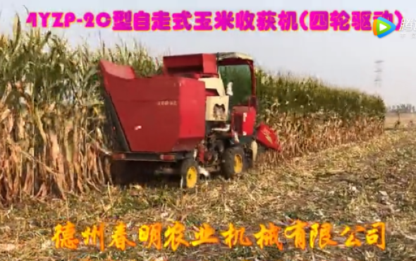 春明两行四驱型和三行履带式玉米收获机作业-作业视频