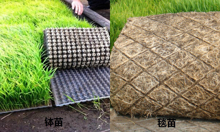 　　『有内涵不简单』春耕精品：久富牌乘坐式高速插秧机