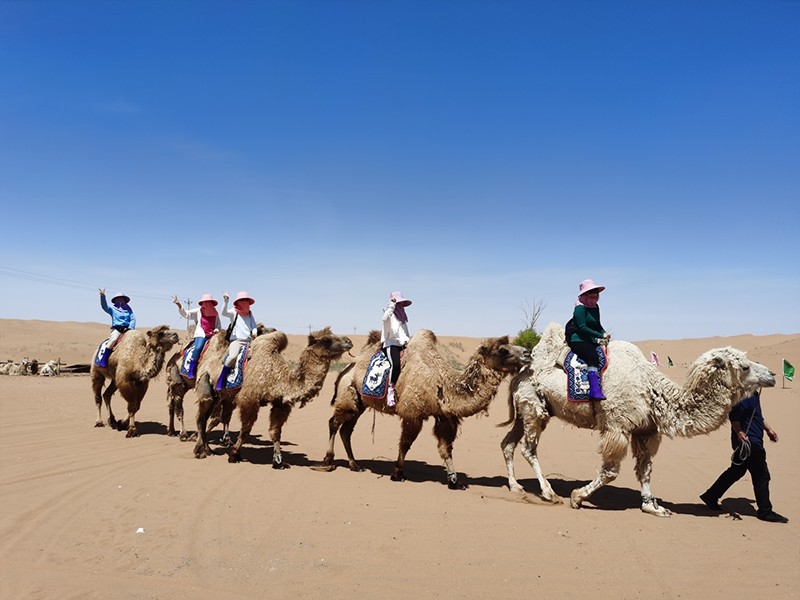 2021年LEMKEN 青岛团队徒步穿行内蒙古腾格里沙漠！