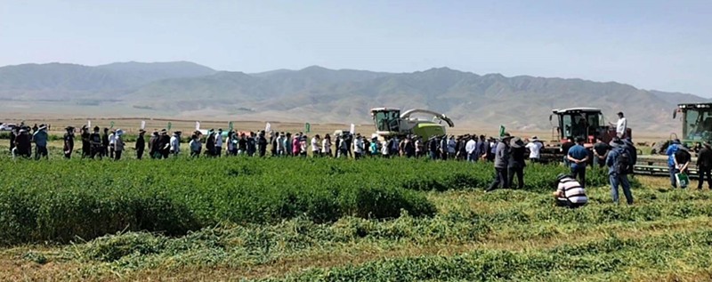 格兰牧草设备，助力新疆草业发展