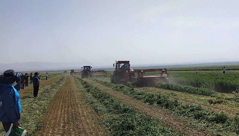 格兰牧草设备，助力新疆草业发展