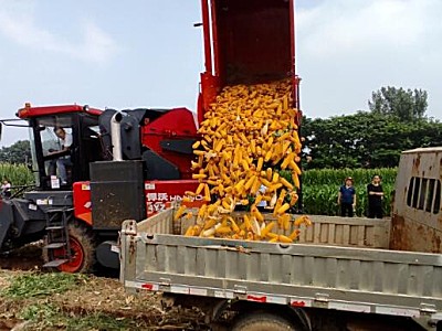 悍沃玉米收獲機演示會在濟南舉行