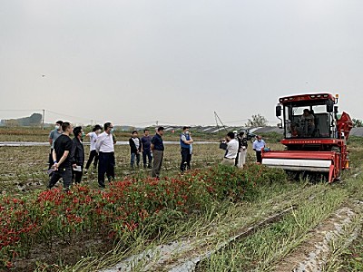 天津市农业中心组织召开天鹰椒生产全程机械化技术培训暨现场演示会