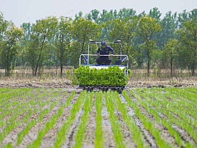 五月農忙季，插秧機自動駕駛系統哪家好？