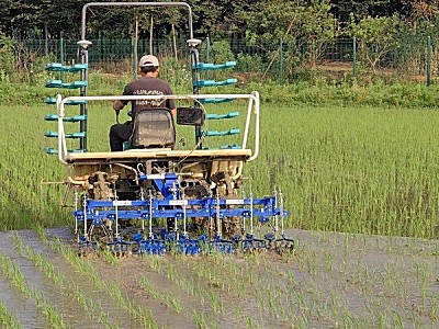 省力科技2款除草機入選上海市2023年農業主推技術