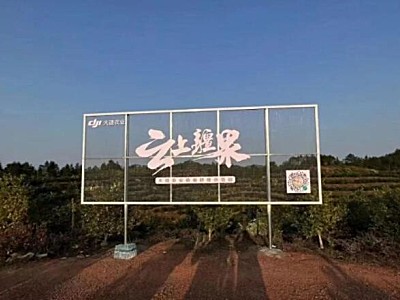 大疆農業發布“云上疆果”計劃：邀您認養臍橙，云上管理數字果園