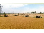 奔跑的三夏丨河南省大规模机收全面展开 中联重科农机护航“麦”向丰收