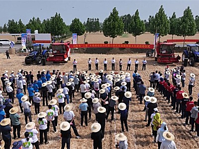 守护“齐鲁粮仓”  潍柴雷沃开出三夏减损增产“粮方”