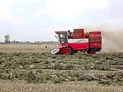 南陽(yáng)王世祥：在外打工真不如回家買臺(tái)中聯(lián)收獲花生機(jī)