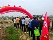 耕种变得如此简单 中国一拖智慧种粮方案助力水稻大面积提单产