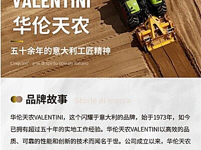 华伦天农VALENTINI品牌介绍