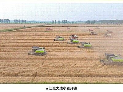 三夏最前線丨安徽小麥開鐮！中聯重科智能農機“減損比武”秀實力