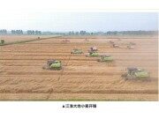 三夏最前线丨安徽小麦开镰！中联重科智能manbetx账号
“减损比武”秀实力