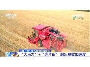 央视连续聚焦 | 引领“智”变 雷沃智慧农业让三夏更有“AI”