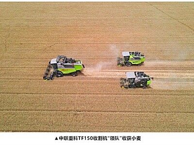 智在豐收丨中聯(lián)重科大喂入量收割機(jī)為“三夏”注入加速度