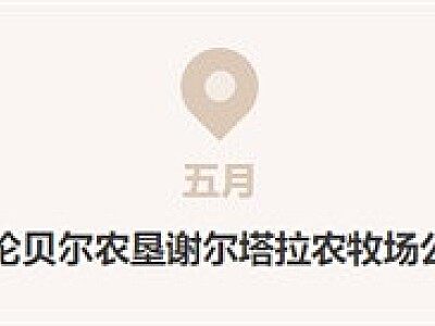 藏糧于技！呼倫貝爾黑土地上演春播“科技秀”