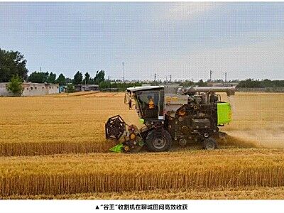 駕駛中聯(lián)重科智能農(nóng)機(jī) ，“00后”機(jī)手在齊魯三夏一線展新姿