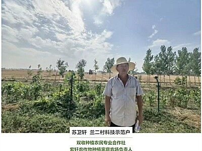 父子兒媳組團(tuán)創(chuàng)業(yè)，看蘇衛(wèi)軒一家的致富路