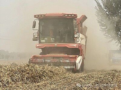 河南漯河董师傅：一年作业1400亩，中联收获花生机收获路上忠实伙伴
