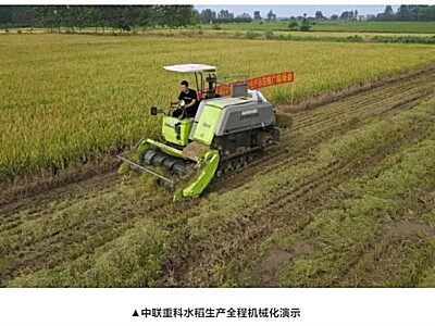 “田間日”秀實力，中聯重科護航水稻全程機械化生產