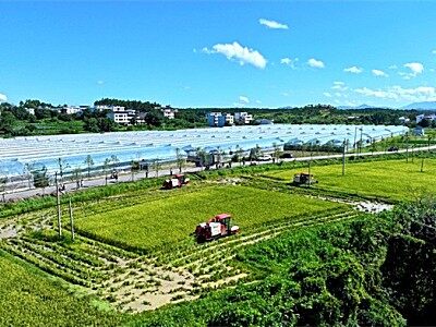 新長征路上的豐收 | 雷沃公益機收走進贛南糧倉
