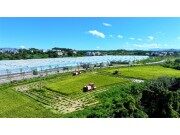 新长征路上的丰收 | 雷沃公益机收走进赣南粮仓
