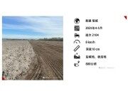 耐磨耙齿新疆对比测试报告