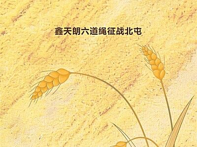 全疆首臺(tái) | 國(guó)產(chǎn)大方捆出擊新疆！鑫天朗六道繩征戰(zhàn)北屯麥田