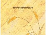 全疆首台 | 国产大方捆出击新疆！鑫天朗六道绳征战北屯麦田