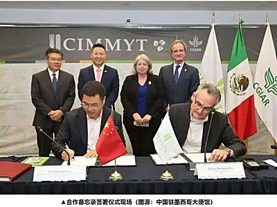 中聯(lián)重科與國際玉米小麥改良中心簽署合作備忘錄