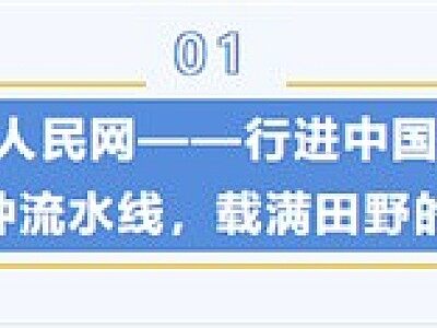 多方關(guān)注丨從 “中國(guó)芯” 到產(chǎn)業(yè)標(biāo)桿