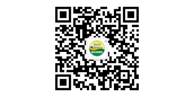 阳光加油站