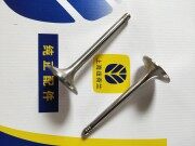 玄哲51338410进/排气门