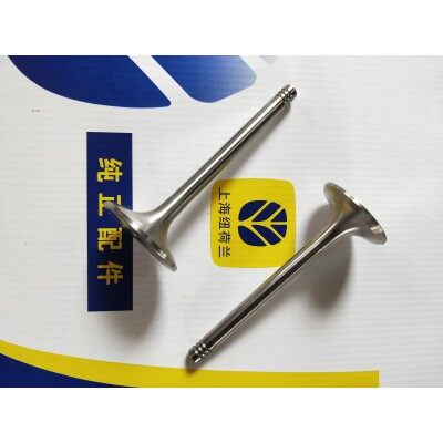 玄哲51338410进/排气门