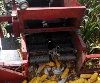 春雨4YZ-2玉米收割机
