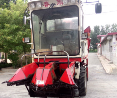 春雨兩行玉米收