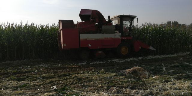 雷沃谷神CC04(4YZ-4B)玉米收割机