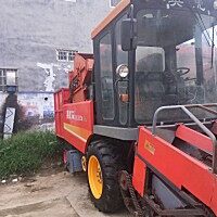 英虎4行玉米收割机