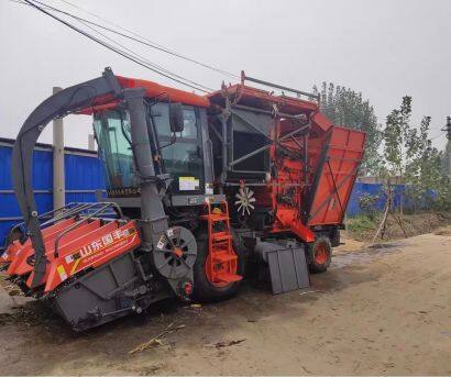 國(guó)豐4YZQP玉米莖穗兼收型玉米收割機(jī)