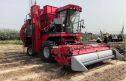 新疆牧神4JZ-3600B型自走式辣椒收獲機(jī)