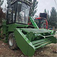 中聯谷王4QZ-3000自走式飼料收獲機