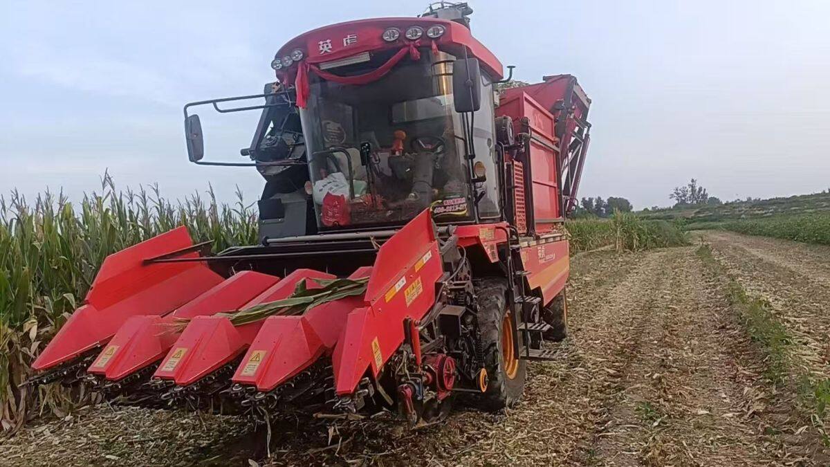 英虎4YJ-4FR自走式玉米茎穗兼收收割机